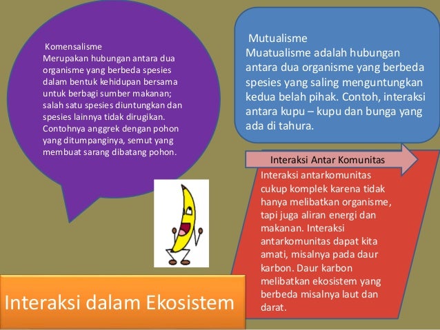 Ekologi Taman Hutan Raya Ir. H. Djuanda