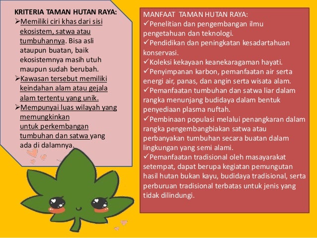 Ekologi Taman Hutan Raya Ir H Djuanda