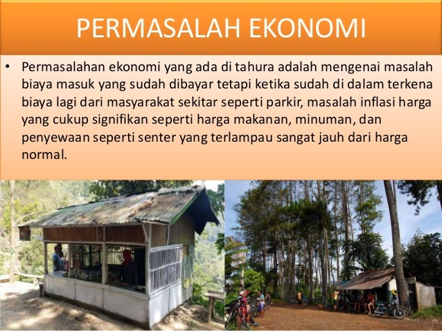 Ekologi Taman Hutan Raya Ir H Djuanda