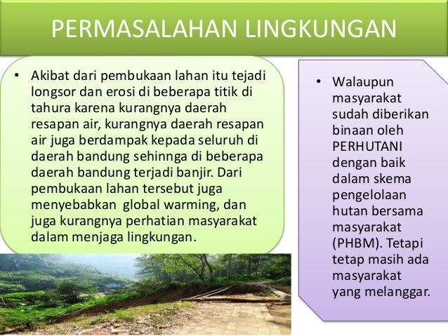 Ekologi Taman Hutan Raya Ir H Djuanda