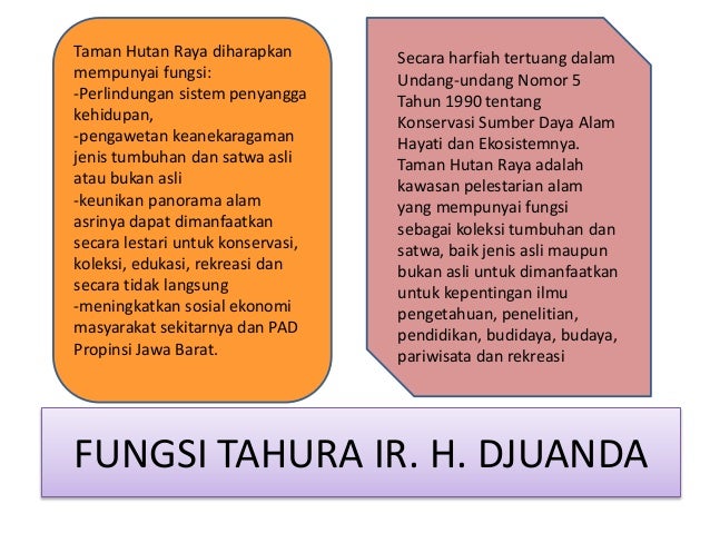 Ekologi Taman Hutan Raya Ir H Djuanda
