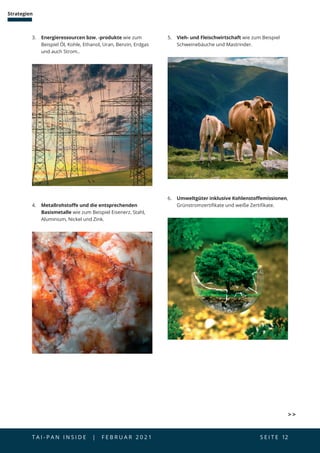 T A I - P A N I N S I D E | F E B R U A R 2 0 2 1  S E I T E 12
Strategien
3. 	 Energieressourcen bzw. -produkte wie zum
Beispiel Öl, Kohle, Ethanol, Uran, Benzin, Erdgas
und auch Strom..
5. 	 Vieh- und Fleischwirtschaft wie zum Beispiel
Schweinebäuche und Mastrinder.
4. 	 Metallrohstoffe und die entsprechenden
Basismetalle wie zum Beispiel Eisenerz, Stahl,
Aluminium, Nickel und Zink.
6. 	 Umweltgüter inklusive Kohlenstoffemissionen,
Grünstromzertifikate und weiße Zertifikate.
 
 