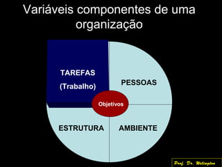 TAREFAS
(Trabalho)
PESSOAS
ESTRUTURA AMBIENTE
Variáveis componentes de uma
organização
Objetivos
Prof. Dr. Welington
 