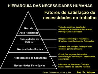 HIERARQUIA DAS NECESSIDADES HUMANAS
Necessidades Fisiológicas
Necessidades de Segurança
Necessidades Sociais
Nessicidades de
Estima
Nec. de
Auto-Realização
Fonte: Chiavenato, 5ª ed. p.534
Fatores de satisfação de
necessidades no trabalho
Intervalos de descanso; Conforto
físico; Horário de trabalho razoável
Condições seguras de trabalho;
Remuneração e benefícios; Estabilidade
no emprego
Amizade dos colegas; interação com
clientes; gerente amigável
Responsabilidade por resultados;
Orgulho e reconhecimento; Promoções
Trabalho criativo e desafiador;
Diversidade e autonomia de trabalho;
Participação nas decisões
Prof. Dr. Welington
 