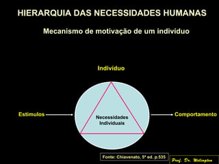 HIERARQUIA DAS NECESSIDADES HUMANAS
Mecanismo de motivação de um indivíduo
Indivíduo
Necessidades
Individuais
Estímulos Comportamento
Fonte: Chiavenato, 5ª ed. p.535
Prof. Dr. Welington
 