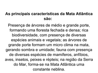 As principais características da Mata Atlântica são:    Presença de árvores de médio e grande porte, formando uma floresta fechada e densa; rica biodiversidade, com presença de diversas espécies animais e vegetais; as árvores de grande porte formam um micro clima na mata, gerando sombra e umidade; fauna com presença de diversas espécies de mamíferos, anfíbios, aves, insetos, peixes e répteis; na região da Serra do Mar, forma-se na Mata Atlântica uma constante neblina. 