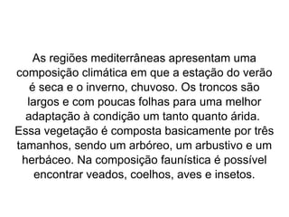 As regiões mediterrâneas apresentam uma composição climática em que a estação do verão é seca e o inverno, chuvoso. Os troncos são largos e com poucas folhas para uma melhor adaptação à condição um tanto quanto árida.  Essa vegetação é composta basicamente por três tamanhos, sendo um arbóreo, um arbustivo e um herbáceo. Na composição faunística é possível encontrar veados, coelhos, aves e insetos. 