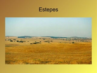 Estepes 
