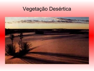 Vegetação Desértica 