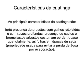 As principais características da caatinga são: forte presença de arbustos com galhos retorcidos e com raízes profundas; presença de cactos e bromélias;os arbustos costumam perder, quase que totalmente, as folhas em épocas de seca (propriedade usada para evitar a perda de água por evaporação). Características da caatinga 