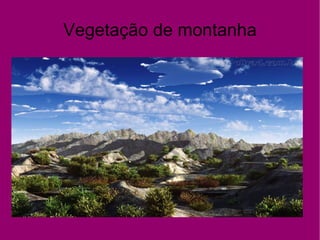 Vegetação de montanha 