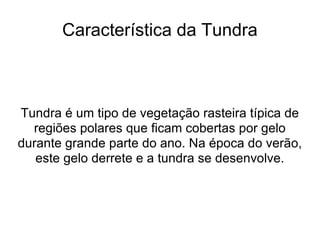 Característica da Tundra Tundra é um tipo de vegetação rasteira típica de regiões polares que ficam cobertas por gelo durante grande parte do ano. Na época do verão, este gelo derrete e a tundra se desenvolve. 