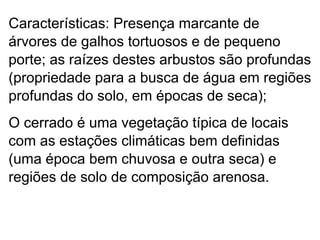 Características: Presença marcante de árvores de galhos tortuosos e de pequeno porte; as raízes destes arbustos são profundas (propriedade para a busca de água em regiões profundas do solo, em épocas de seca); O cerrado é uma vegetação típica de locais com as estações climáticas bem definidas (uma época bem chuvosa e outra seca) e regiões de solo de composição arenosa.  