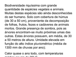 Biodiversidade riquíssima com grande quantidade de espécies vegetais e animais. Muitas destas espécies são ainda desconhecidas do ser humano. Solo com cobertura de húmus (de 30 a 50 cm), proveniente da decomposição de folhas, frutos, fezes e cadáveres de animais mortos. Grande presença de sombra, pois as árvores encontram-se muito próximas umas das outras. Estas árvores possuem, em média, de 30 a 50 metros de altura. Umidade elevada em função do alto índice pluviométrico (média de 1300 mm de chuvas por ano); Calor quase o ano todo, com temperaturas médias anuais de 20° C. 