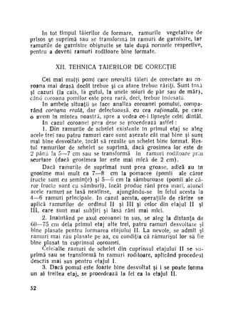 In tot timpul tăierilor de formare, ramurile vegetative de
prisos şe suprimă sau se transformă în ramuri de garnisire, iar
ramurile de garnisire obişnuite se taie după normele respective,
pentru a deveni ramuri roditoare bine formate
XII. T E H N I C A TĂIERILOR DE C O R E C Ţ I E
Cei mai mulţi pomi care necesită tăieri de corectare au co­
r o a n a mai deasă decât trebue şi ca a t a r e trebue răriţi. Sunt însă
şi cazuri (la cais, lâ gutui, la unele soiuri de păr sau de m ă r ) ,
când coroana pomilor este prea rară, deci, trebue îndesată.
In ambele situaţii se face analiza coroanei pomului, compa­
rând coroana reală, dar defectuoasă, cu cea raţională, pe care
o avem în mintea noastră, spre a vedea ce-i lipseşte celei dintâi.
In cazul coroanei prea dese se procedează astfel :
1. Din ramurile de schelet existente in primul etaj se aleg
acele trei sau patru r a m u r i care -sunt aşezate cât mai bine şi sunt
mai bine desvoltate, încât să rezulte un schelet bine format. Res­
tul ramurilor de schelet se suprimă, dacă grosimea lor este de
2 până la 5—7 cm sau se transformă în ramuri roditoare prin
scurtare (dacă grosimea lor este mai mică de 2 c m ) .
Dacă ramurile de suprimat sunt prea groase, adică au în
grosime mai mult ca 7—8 cm la pomacee (pomii ale căror
fructe sunt cu seminţe) şi 5—6 cm la sâmburoase (pomii ale că­
ror fructe sunt cu s â m b u r i ) , încât produc răni prea mari, atunci
acele ramuri se lasă neatinse, ajungându-se în felul acesta la
4—6 ramuri principale. In cazul acesta, operaţiile de r ă r i r e se
aplică ramurilor de ordinul II şi III şi celor din etajul II şi
III, care sunt mai subţiri şi lasă răni mai mici.
2. înaintând pe axul coroanei în sus, se aleg la distanţa de
60—75 cm dela primul etaj alte trei, patru ramuri desvoltaie şi
bine plasate pentru formarea etajului II. La nevoie, se admit şi
ramuri mai rău plasate pe ax, cu condiţia că rămurişul lor să fie
bine plasat în cuprinsul coroanei.
Celeîalte ramuri de schelet din cuprinsul etajului II se su­
p r i m ă sau se transformă în ramuri roditoare, aplicând procedeul
descris rnai sus pentru etajul I.
3. Dacă pomul este foarte bine desvoltat şi i se poate forma
un al treilea etaj, se procedează la fel ca la etajul II.
52

 