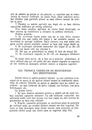 i i l e de schelet de prisos şi rău plasate, se suprimă sau se trans­
forma în ramuri roditoare. In cazul, însă, când scheletul corec­
t a t r ă m â n e slab garnisit, atunci se lasă câteva ramuri de sche­
let în plus.
7. Paralel cu aceste operaţii sau după ele se face tăierea
ramurilor roditoare pe întreg scheletul.
Prin toate acestea, operaţia de rărire fiind terminată, se
face tăierea de echilibrare a coroanei în ordinea verticală.
Pentru aceasta :
8. Se scurtează foarte puţin sau nu se taie deloc ramura
principală cea mai slabă din etajul I, iar celelalte ramuri se
scurtează la aceeaşi înălţime. Dacă r a m u r a cea mai slabă este
prea scurtă, atunci celelalte ramuri se lasă mai lungi decât ea.
9. Se scurtează vârfurile ramurilor din etajul II cu 20—25
•cm mai s u s decât cele ale etajului I.
10. Tot aşa se procedează cu etajul II faţă de etajul III.
11. Se scurtează săgeata la 20—25 cm deasupra ultimului
etaj.
In cazul când avom de a face cu o coroană globuloasă şi
d a c ă ultimul etaj are cel puţin doi ani, atunci săgeata se suprimă
de tot, tăindu-se deasupra ultimei r a m u r i a etajului superior.
XIII. T E H M C A TĂIERILOR DE REGENERARE
SAU R E Î N T I N E R I R E
Aceste tăieri se aplică pomilor bătrâni la care scheletul a în­
ceput să se usuce şi au apărut lăstari lacomi la îndoiturile ramu­
rilor de schelet. Tăierile se aplică şi pomilor c a r e au suferit ac­
cidente : au fost fărâmaţi de polei, zăpadă sau furtuni, rod prea
îmbelşugat, etc.
La aceste t ă i e r i :
1. Se face analiza coroanei pentru a stabili cât de mult trebue scurtate ramurile coroanei. Cu cât vârfurile ramurilor din
scheletul vechi sunt mai uscate sau mai rupte, cu atât tăierea de
substituire se face mai ridicată.
2. Practic, ramurile principale se scurtează până la punctele
de curbură unde au crescut lăstarii lacomi cei mai viguroşi. Tă­
ierea se face deasupra unui lăstar lacom, care urmează să înlo­
cuiască vârful uscat sau slăbit care se suprimă (Vig. 51).
55

 