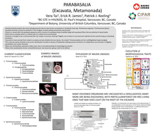 PARABASALIA	
  
(Excavata,	
  Metamonada)	
  
Vera	
  Tai1,	
  Erick	
  R.	
  James2,	
  Patrick	
  J.	
  Keeling2	
  
1BC-­‐CFE	
  in	
  HIV/AIDS,	
  St.	
  Paul’s	
  Hospital,	
  Vancouver,	
  BC,	
  Canada	
  
 Amitochondriate	
  proOsts	
  (but	
  have	
  hydrogenosome)	
  that	
  are	
  best	
  known	
  as	
  parasites	
  of	
  vertebrate	
  hosts	
  (eg.	
  Trichomonas	
  vaginalis,	
  Tritrichomonas	
  foetus)	
  	
  
 Greatest	
  diversity	
  is	
  found	
  as	
  symbionts	
  in	
  the	
  hindguts	
  of	
  wood-­‐eaOng	
  cockroaches	
  and	
  termites	
  	
  
 Phylum	
  is	
  named	
  aUer	
  the	
  parabasal	
  apparatus	
  which	
  consists	
  of	
  a	
  parabasal	
  body	
  (modiﬁed	
  Golgi)	
  with	
  parabasal	
  ﬁbres	
  that	
  are	
  aWached	
  to	
  basal	
  bodies	
  	
  	
  
 Most	
  have	
  an	
  axostyle	
  which	
  is	
  a	
  hollow	
  tube	
  of	
  a	
  rolled	
  row	
  of	
  microtubules	
  
 Ancestor	
  is	
  thought	
  to	
  be	
  a	
  trichomonad-­‐like	
  cell,	
  simple	
  in	
  structure,	
  bearing	
  4	
  ﬂagella,	
  one	
  of	
  which	
  is	
  recurrent	
  and	
  underlain	
  by	
  the	
  costa	
  forming	
  an	
  undulaOng	
  
membrane	
  
 Assumed	
  to	
  have	
  evolved	
  from	
  simple	
  to	
  complex	
  and	
  was	
  divided	
  into	
  two	
  classes,	
  the	
  simpler	
  Trichomonadida	
  and	
  the	
  mulOﬂagellated	
  HypermasOgida	
  
 This	
  view	
  was	
  overly	
  simplisOc	
  and	
  current	
  classiﬁcaOon	
  includes	
  6	
  classes	
  of	
  Parabasalia	
  implying	
  several	
  transiOons	
  of	
  mulOplicaOon	
  and	
  reducOon	
  in	
  ﬂagellar,	
  
cytoskeletal,	
  and	
  nuclear	
  elements	
  
 Many	
  are	
  misclassiﬁed,	
  especially	
  smaller	
  ones,	
  due	
  to	
  misunderstanding	
  of	
  morphological	
  evoluOon	
  
 Many	
  other	
  parabasalids	
  remain	
  unclassiﬁed	
  because	
  new	
  taxonomic	
  groups	
  need	
  to	
  be	
  deﬁned	
  
are needed. In the present study, Spirotrichonymphea and
Hypotrichomonadea are represented by only two taxa and a
further taxon sampling may improve the resolution; however,
Hypotrichomonadea comprises only two genera [26] both of
which are included in the analyses and Spirotrichonymphea cells,
usually small in size, are very hard to distinguish by light
microscopy if multiple species occur simultaneously in the gut of
termites (and they very often do).
Table 3. Shimodaira-Hasegawa (SH) and approximately
unbiased (AU) tests for parabasalian root positions.
Root position P value
SH AU
a 0.012* 0.001*
b 0.088 0.044*
c 0.005* ,0.001*
d 0.019* 0.001*
e 0.367 0.161
f 0.378 0.013*
g 0.491 0.148
h 0.009* 0.002*
i 0.018* 0.001*
j 0.065 ,0.001*
k Best Best
Root positions are depicted in Figure 3. Asterisks indicate that the root position
was significantly different from the best ML topology at P,0.05.
doi:10.1371/journal.pone.0029938.t003
Figure 4. Maximum likelihood tree based on concatenation of GAPDH, actin, EF-1a, and SSU rRNA gene sequences and rooted by
Trimastix. Unambiguously aligned amino acid sites of GAPDH (257), actin (268), and EF-1a (274), and nucleotide sites of SSU rRNA (1338) gene
sequences were concatenated and analyzed in 28 parabasalian species with Trimastix as an outgroup. The tree was estimated in RAxML using the
CAT model (CATMIX). The parameters and branch length were optimized for each gene partition individually. The supporting values (bootstrap in
RAxML/Bayesian posterior probability) are indicated at the nodes. Values below 50% or 0.5 are indicated by hyphens. Vertical bars to the right of the
tree represent the parabasalian classes. The scale bar corresponds to 0.10 substitutions per site.
doi:10.1371/journal.pone.0029938.g004
Table 4. Exclusion of parabasalian taxa and the effect on
their root.
No. of parabasalian taxa
excluded 23 outgroup taxa 13 outgroup taxa
3 10 NT
6 10 NT
12 10 10
16 4 8
18 5 6
Values represent the number of occurrences of root position k (shown in
Figure 3) in 10 replicates of the random taxa exclusion analyses in each defined
number of excluded taxa. NT, not tested. The 23 outgroup taxa correspond to
the concatenate dataset of EF-1a, actin, and SSU rRNA gene sequences using 23
outgroup taxa as shown in Figure 3, whereas the 13 outgroup taxa correspond
to those remained after excluding 10 long-branch outgroup taxa (as
investigated in Table S1). Note that in the cases of 16 and 18 taxa exclusions, all
other replicates demonstrated the root position at the branch leading to
Trichonymphea (position g).
doi:10.1371/journal.pone.0029938.t004
Phylogeny and Evolution of Parabasalia
PLoS ONE | www.plosone.org 8 January 2012 | Volume 7 | Issue 1 | e29938
C. Trichomonadea
O. Trichomonadida
F. Trichomonadidae
O. Honigbergiellida,
F. Honigbergiellidae
F. Hexamastigidae
F. Tricercomitidae
C. Hypotrichomonadea
O. Hypotrichomonadida
F. Hypotrichomonadidae
C. Tritrichomonadea
O. Tritrichomonadida
F. Tritrichomonadidae
F. Dientamoebidae
F. Monocercomonadidae
C. Cristamonadea
O. Cristamonadida
F. Lophomonadidae
C. Trichonymphea
O. Trichonymphida
F. Hoplonymphidae
F. Staurojoenidae
F. Trichonymphidae
F. Teranymphidae
F. Spirotrichosomidae
C. Spirotrichonymphea
O. Spirotrichonymphida
F. Holomastigotoididae
!"#$%&'(
!
" # $
CURRENT	
  CLASSIFICATION	
  
based	
  on	
  Cepicka	
  et	
  al.	
  2010	
  
Cristamonadida	
  
Trichonymphida	
  
Spirotrichonymphida	
  
Trichomonadida	
  
Tritrichomonas muris
Image caption: Scanning electron micrograph of cells from a rodent.
image	
  by	
  G.	
  Brugerolle	
  
image	
  by	
  G.	
  Brugerolle	
  
Tritrichomonadida	
  
Hypotrichomonadida	
  
image	
  by	
  J.	
  Cole	
  
2Department	
  of	
  Botany,	
  University	
  of	
  BriOsh	
  Columbia,	
  Vancouver,	
  BC,	
  Canada	
  
ARTICLE IN PRESS
I. Cepicka et al.418
PHYLOGENY	
  OF	
  MAJOR	
  LINEAGES	
  
Noda	
  et	
  al.	
  2012	
  
EVOLUTION	
  of	
  
MORPHOLOGICAL	
  TRAITS	
  
Cepicka	
  et	
  al.	
  2012	
  
EXAMPLE	
  IMAGES	
  
of	
  MAJOR	
  LINEAGES	
  
MANY	
  DESCRIBED	
  ORGANISMS	
  ARE	
  UNCLASSIFIED	
  or	
  MISCLASSIFIED,	
  MANY	
  
MORE	
  ARE	
  BEING	
  DISCOVERED,	
  WITH	
  PARTICULARINTEREST	
  ON	
  FREE-­‐LIVING	
  
ONES	
  THAT	
  MAY	
  SHED	
  LIGHT	
  ON	
  THE	
  ROOT	
  OF	
  THE	
  EXCAVATA	
  
Figure 5. Phylogenetic relationships between Cthulhu, Cthylla, environmental sequences, and closely related parabasalians. Bayesian
Cthulhu and Cthylla
Ctuhlhu	
  and	
  Cthylla	
  are	
  possibly	
  members	
  of	
  a	
  
yet	
  to	
  be	
  described	
  order	
  of	
  Trichomonadida	
  
(James	
  et	
  al.	
  2013)	
  
Cthulhu	
  
Kofoidia	
  
Kofoidia	
  is	
  a	
  Cristamonad,	
  but	
  taxa	
  known	
  as	
  the	
  lophomonads	
  (*)
are	
  polyphyleOc	
  and	
  the	
  type	
  genus	
  of	
  the	
  family	
  Lophomonadidae	
  
groups	
  outside	
  of	
  the	
  Cristamonadea.	
  	
  A	
  redeﬁned	
  taxonomy	
  is	
  
needed	
  for	
  the	
  cristamonads	
  (Tai	
  et	
  al.	
  2015)	
  
!"#$"#%&'(')*+,*
-"#.$*(')*+,*
!"!#
$!!%$"!!
&'%$"!!
()%$"!!
**)(%
!"&+
$!!%$"!!
,#%!"(#
,,%!"&(
)-%!"&,
&!%$"!!
)'%!",+ &)%$"!!
$!!%$"!!
(+%$"!! (#%!"&(
$!!%$"!!
**('%
!"&&
**(-%
!"&(
**&+%
$"!!
)-%
!"&+
&&%$"!!
&)%$"!!
(#%!"&#
,'%!"&)
&#%$"!!
$!!%$"!!
./+#(()$*!"#$%&'('%$)*+,-./0,$*01234$(
.5-$#(#(*1$0'&,-(,)*20$3".'00")*67189:;<*=>)
./+#((#+*4',%"$*$%%,.&,%)
5?&()-$&*5'-'%6(7+$*3$0,%&"%"$
5?&()---*5'-'%6(7+$*($.8"%%'%"$
5?&()--$*5'-'%6(7+$*8'"9:/("$
./+#(()-*;$.-'&-".+'('%$)*6@"*26A4$
./+#(()'*;$.-'&-".+'('%$)*6@"*2>A$
5A$)!)++*;,&$9,3,).'3"%$*('9".$*BC:;D*2EF1@+'
./+#(()!*<'$"%$*%$%$*GH534-
./!'---#*=,3,).'3"%$*6@"*IJ&
K$,#!)*;,&$9,3,).'3"%$*7'06)7"-$
./!'--$+*5-67&'&,-(,)*9'(,)&"./)*67189:;<*GH'
LM(##+!#*5$9/.,"$*3,-)$&"0")
./+#((#(*=,3,).'3"%$*6@"*IJ534)
./+#((#&*=,3,).'3"%$*6@"*2>L4$
!"#"$%$&'(")$*+(&,&/%0'),/1.#!,234
!"#"$%$&'(")$*+(&,&/%0'),/1.#5"#3*
0M-$#(')*5$0'%6(7+$*.+"$
LM(##+!'*>&,7+$%'%6(7+$*%,0/(?"/(*BC:;D*$
0M-$#('(*>%69,-,00$*)@,:6$,
0M#&'$++*>%69,-,00$*6$("%"
.N!)'-&+*5$0'%6(7+$*#-$))""*BC:;D*$
.?#('',,*;"A'&-".+$*7$-$9'A$
.?$'-+),*1'-/#$*?'%"&$
.?#('',(*=,0&'&-".+'%6(7+$*%$%$
O(,$'-*;,&$9,3,).'3"%$*,A&-$%,$*PA$#
./+#((#)*4',%'"9,)*"%&,-(,9"$*01?4-
./+#((##*?:D;9;Q*@RCBEDCCQ*PQ?4-
.N,'!+!#*=",%&$(',?$*2-$#"0")
.N!##(!'*B-"&-".+'('%$)*%'%.'%2'-($*S$$+
.5-&'!#)*C")&'('%$)*(,0,$#-"9")
2M-#+)',*>"(70"."('%$)*)"("0")
K$,#!&*B-"&-".+'('%$)*2',&/)*.TGG*'!&-+
LM$,+'!$*;'%'.,-.'('%$)*.'0/?-'-/(*AUIT$
K$,#!,*;'%'.,-.'('%$)*6@"*.TGG*#!-$!
6
5 7 -
*	
  
*	
  
*	
  
*	
  
*	
  
*	
  
*	
  
Calonymphidae?	
  
Devescovinidae?	
  
Kofoiididae?	
  
Deltotrichonymphidae?	
  
Coronymphidae??	
  
REFERENCES	
  
Cepicka	
  et	
  al.	
  2010.	
  	
  CriOcal	
  taxonomic	
  revision	
  of	
  parabasalids	
  with	
  
descripOon	
  of	
  one	
  new	
  genus	
  and	
  three	
  new	
  species.	
  	
  Pro8st.	
  	
  161:	
  
400-­‐433	
  	
  
Tai	
  et	
  al.	
  2015.	
  	
  The	
  phylogeneOc	
  posiOon	
  of	
  Kofoidia	
  loriculata	
  
(Parabasalia)	
  and	
  its	
  implicaOons	
  for	
  the	
  evoluOon	
  of	
  the	
  Cristamonadea.	
  	
  
J	
  Euk	
  Micro.	
  	
  62:	
  255-­‐259	
  
James	
  et	
  al.	
  2013.	
  Cthulhu	
  macrofasciculumque	
  n.	
  g.,	
  n.	
  sp.	
  and	
  Cthylla	
  
microfasciculumque	
  n.	
  g.,	
  n.	
  sp.,	
  a	
  newly	
  idenOﬁed	
  lineage	
  of	
  
parabasalian	
  termite	
  symbionts.	
  	
  PLoSONE.	
  8:	
  e58509	
  
Noda	
  et	
  al.	
  2012.	
  Molecular	
  phylogeny	
  and	
  evoluOon	
  of	
  Parabasalia	
  with	
  
improved	
  taxon	
  sampling	
  and	
  new	
  protein	
  markers	
  of	
  acOn	
  and	
  
elongaOon	
  factor-­‐1α.	
  	
  PLoSONE.	
  	
  7:	
  e29938	
  
 