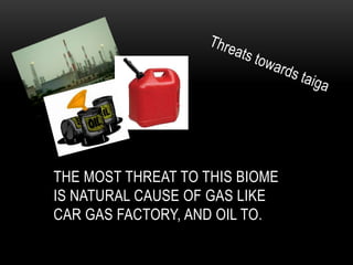Threats towards taigaThe most threat to this biome is natural cause of gas like car gas factory, and oil to.