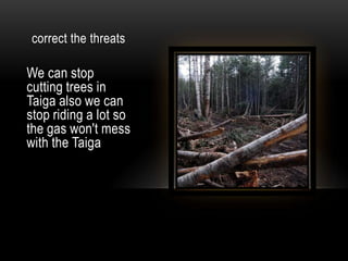 correct the threats We can stop cutting trees in Taiga also we can stop riding a lot so the gas won't mess with the Taiga 
