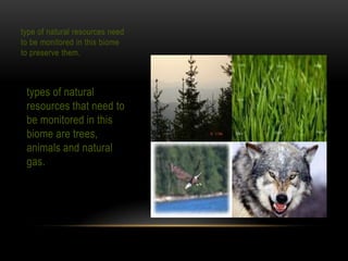 type of natural resources need to be monitored in this biome to preserve them.types of natural resources that need to be monitored in this biome are trees, animals and natural gas.