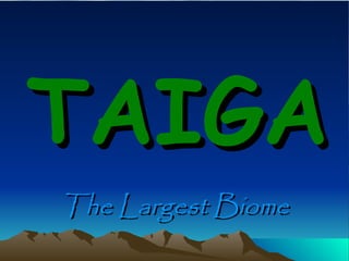 TAIGA The Largest Biome 