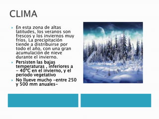  En esta zona de altas
latitudes, los veranos son
frescos y los inviernos muy
fríos. La precipitación
tiende a distribuirse por
todo el año, con una gran
acumulación de nieve
durante el invierno.
 Persisten las bajas
temperaturas , inferiores a
- 40ºC en el invierno, y el
periodo vegetativo
 No llueve mucho -entre 250
y 500 mm anuales-
 