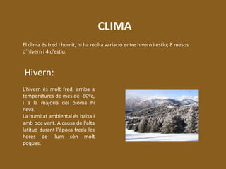 CLIMA
El clima és fred i humit, hi ha molta variació entre hivern i estiu; 8 mesos
d´hivern i 4 d’estiu.
Hivern:
L’hivern és molt fred, arriba a
temperatures de més de -60ºc,
i a la majoria del bioma hi
neva.
La humitat ambiental és baixa i
amb poc vent. A causa de l'alta
latitud durant l'època freda les
hores de llum són molt
poques.
 