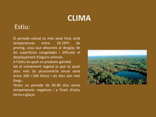 Estiu:
El període estival es més aviat fred, amb
temperatures entre 10-19ºC de
promig, cosa que afavoreix al desglaç de
les superfícies congelades i dificulta el
desplaçament d’alguns animals.
A l'estiu és quan es produeix gairebé
tot el creixement vegetal ja que és quan
plou més (la pluviometria anual varia
entre 200 i 500 litres) i els dies són més
llargs.
Tenen un període de 30-40 dies sense
temperatures negatives i a finals d’estiu
torna a glaçar.
CLIMA
 