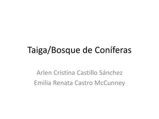 Taiga/Bosque de Coníferas 
Arlen Cristina Castillo Sánchez 
Emilia Renata Castro McCunney 
 