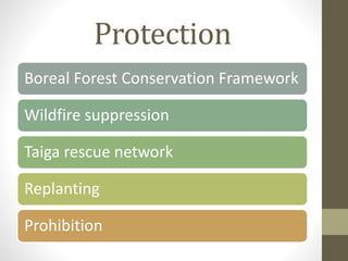 Protection
Boreal Forest Conservation Framework
Wildfire suppression
Taiga rescue network
Replanting
Prohibition
 