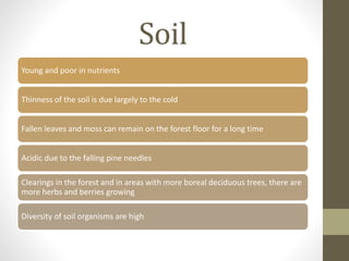 Soil
Young and poor in nutrients
Thinness of the soil is due largely to the cold
Fallen leaves and moss can remain on the forest floor for a long time
Acidic due to the falling pine needles
Clearings in the forest and in areas with more boreal deciduous trees, there are
more herbs and berries growing
Diversity of soil organisms are high
 