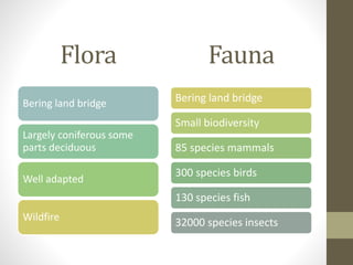 Flora
Bering land bridge
Largely coniferous some
parts deciduous
Well adapted
Wildfire
Fauna
Bering land bridge
Small biodiversity
85 species mammals
300 species birds
130 species fish
32000 species insects
 