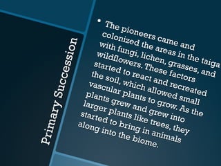 PrimarySuccession
•  The pioneers came and
colonized the areas in the taiga
with fungi, lichen, grasses, and
wildflowers.These factors
started to react and recreated
the soil, which allowed small
vascular plants to grow. As the
plants grew and grew into
larger plants like trees, they
started to bring in animals
along into the biome.
 