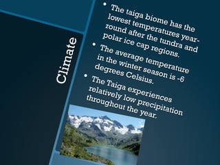 Climate
•  The taiga biome has the
lowest temperatures year-
round after the tundra and
polar ice cap regions.
•  The average temperature
in the winter season is -6
degrees Celsius.
•  The Taiga experiences
relatively low precipitation
throughout the year.
 