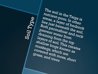 SoilType
The soil in the Taiga is
nutrient-poor. In other
areas, a layer of bedrock
lies just beneath the soil.
Both permafrost and rock
prevent water from
draining from the top
layers of soil.This creates
shallow bogs known as
muskegs, which are
covered with moss, short
grass, and trees
 