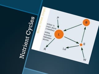 NutrientCycles
 