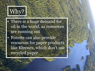 Why? There is a huge demand for oil in the world, as resources are running out Forests can also provide resources for paper products like Kleenex, which don’t use recycled paper. 