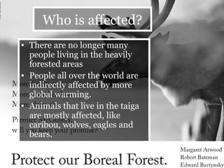 Who is affected? There are no longer many people living in the heavily forested areas People all over the world are indirectly affected by more global warming. Animals that live in the taiga are mostly affected, like caribou, wolves, eagles and bears. 