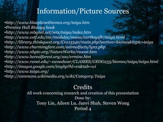 Information/Picture Sources http://www.blueplanetbiomes.org/taiga.htm Prentice Hall Biology book http://www.mbgnet.net/sets/taiga/index.htm http://www.cotf.edu/ete/modules/msese/earthsysflr/taiga.html http://library.thinkquest.org/C0113340/main.php?section=biomes&topic=taiga http://www.charmingfare.com/animalfacts/lynx.php http://www.nhptv.org/NatureWorks/moose.htm http://www.borealforest.org/zoo/ermine.htm http://www.runet.edu/~swoodwar/CLASSES/GEOG235/biomes/taiga/taiga.html http://images.google.com/imghp?hl=en&tab=wi http://www.taiga.org/ http://commons.wikimedia.org/wiki/Category:Taiga Credits All work concerning research and creation of this presentation Done by: Tony Lin, Aileen Lu, Janvi Shah, Steven Wong Period 4 