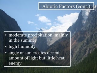 moderate precipitation, mainly in the summer high humidity angle of sun creates decent amount of light but little heat energy Abiotic Factors (cont.) 