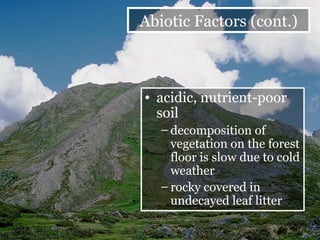 acidic, nutrient-poor soil decomposition of vegetation on the forest floor is slow due to cold weather rocky covered in undecayed leaf litter Abiotic Factors (cont.) 