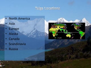 • North America
• Asia
• Europe
• Alaska
• Canada
• Scandinavia
• Russia