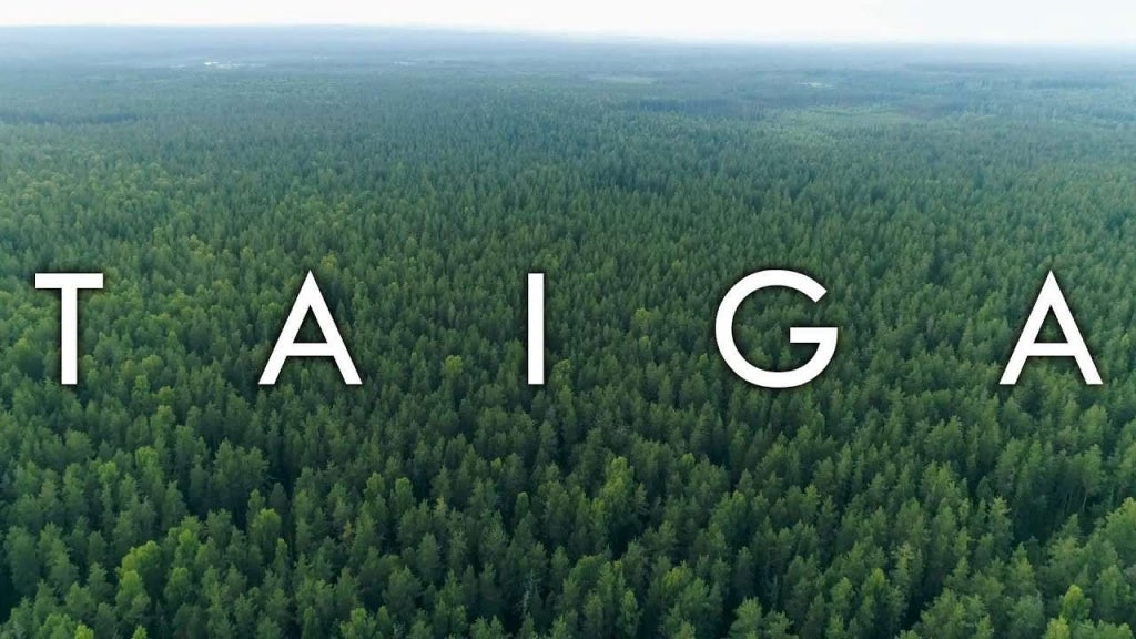 Taiga biome ESS pptx desert-biome-presentation-at-emaze-presentation