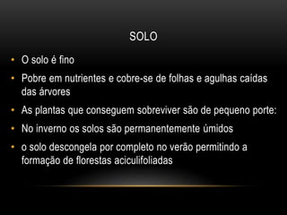 SOLO
• O solo é fino
• Pobre em nutrientes e cobre-se de folhas e agulhas caídas
das árvores
• As plantas que conseguem sobreviver são de pequeno porte:
• No inverno os solos são permanentemente úmidos
• o solo descongela por completo no verão permitindo a
formação de florestas aciculifoliadas
 