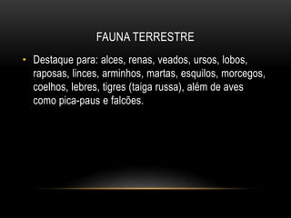 FAUNA TERRESTRE
• Destaque para: alces, renas, veados, ursos, lobos,
raposas, linces, arminhos, martas, esquilos, morcegos,
coelhos, lebres, tigres (taiga russa), além de aves
como pica-paus e falcões.
 