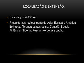 LOCALIZAÇÃO E EXTENSÃO:
• Estende por 4.800 km
• Presente nas regiões norte da Ásia, Europa e América
do Norte. Abrange países como: Canadá, Suécia,
Finlândia, Sibéria, Rússia, Noruega e Japão.
 