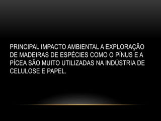 PRINCIPAL IMPACTO AMBIENTAL A EXPLORAÇÃO
DE MADEIRAS DE ESPÉCIES COMO O PÍNUS E A
PÍCEA SÃO MUITO UTILIZADAS NA INDÚSTRIA DE
CELULOSE E PAPEL.
 