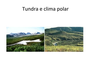 Tundra e clima polar
 