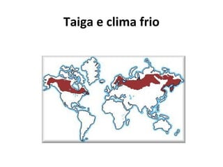 Taiga e clima frio
 