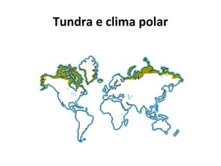 Tundra e clima polar
 